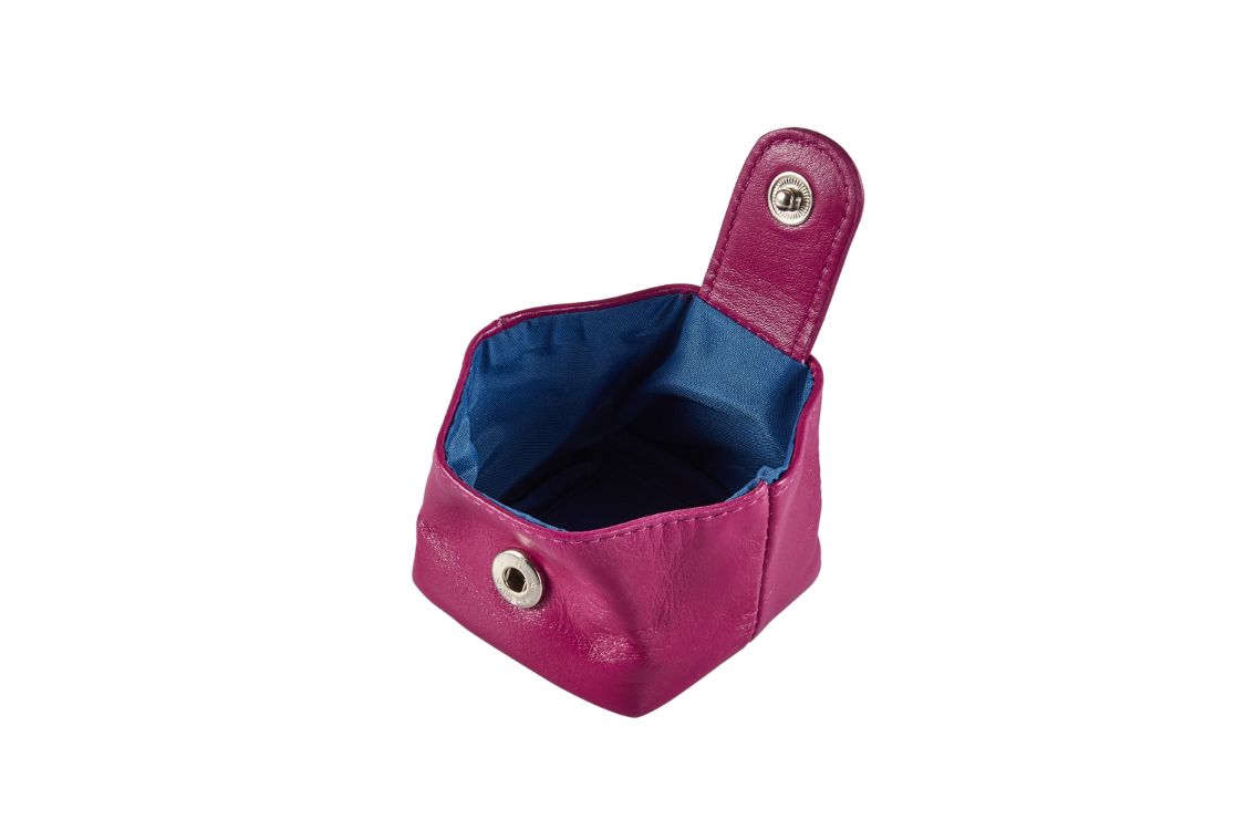 Chloe Coin Pouch