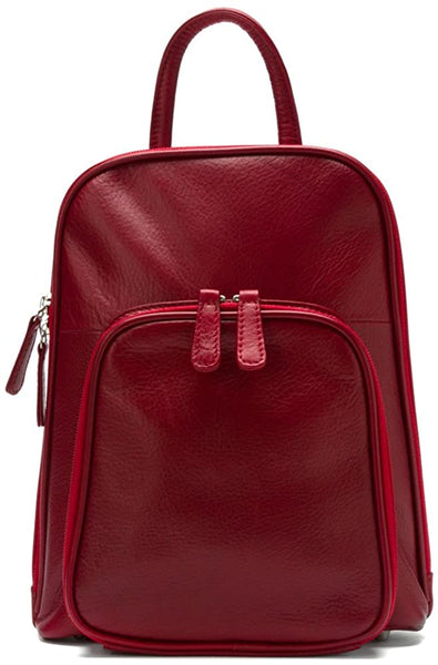 Small Organizer Backpack