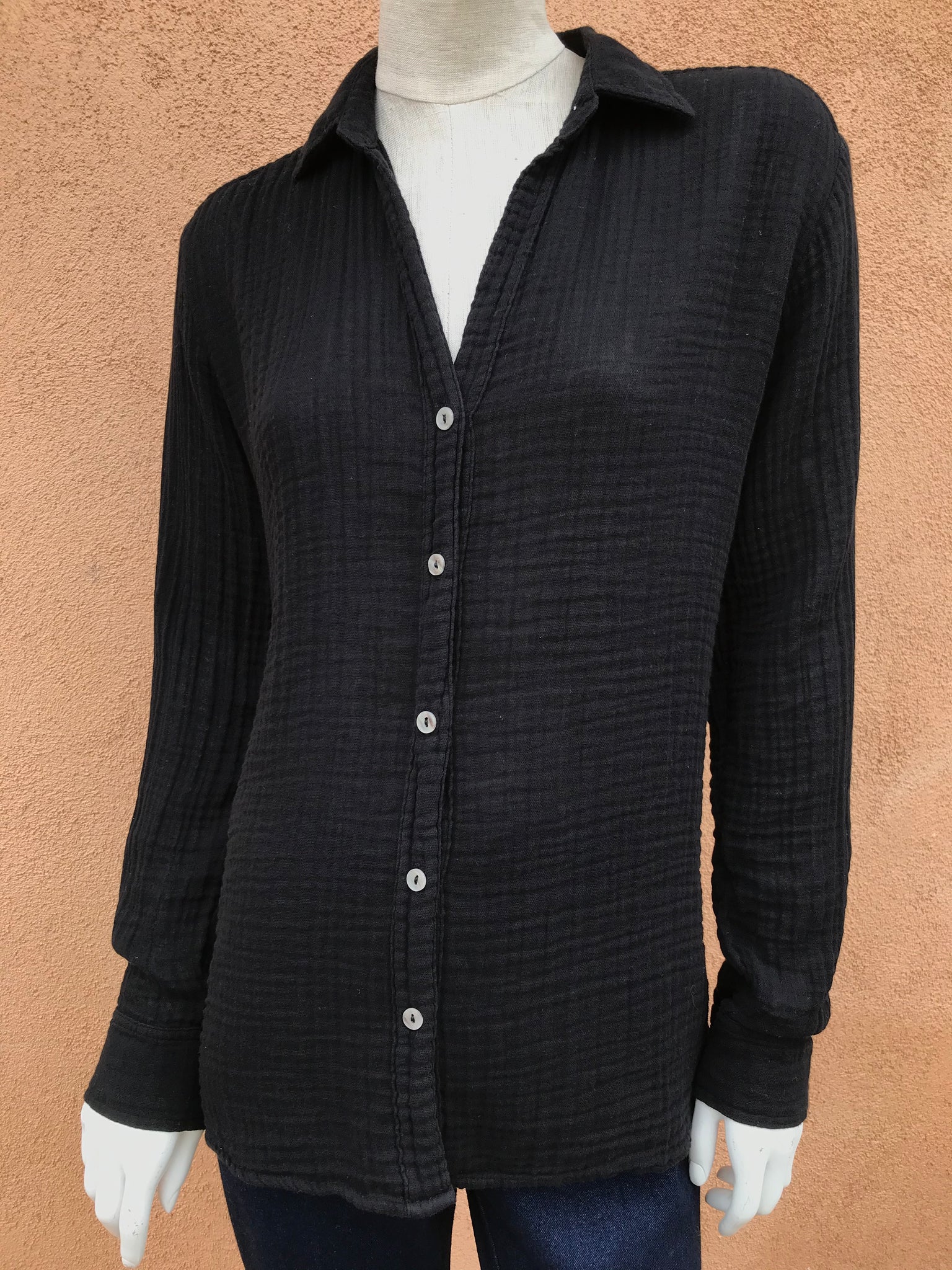 Leo Button Down